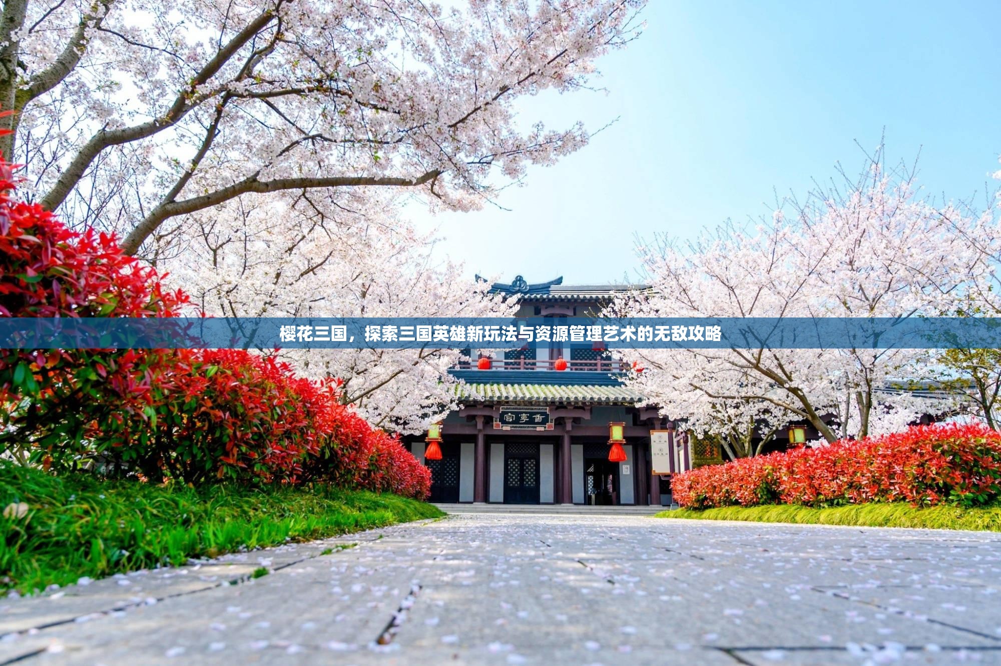 樱花三国，探索三国英雄新玩法与资源管理艺术的无敌攻略