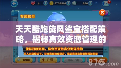 天天酷跑旋风鲨宝搭配策略，揭秘高效资源管理的艺术与技巧