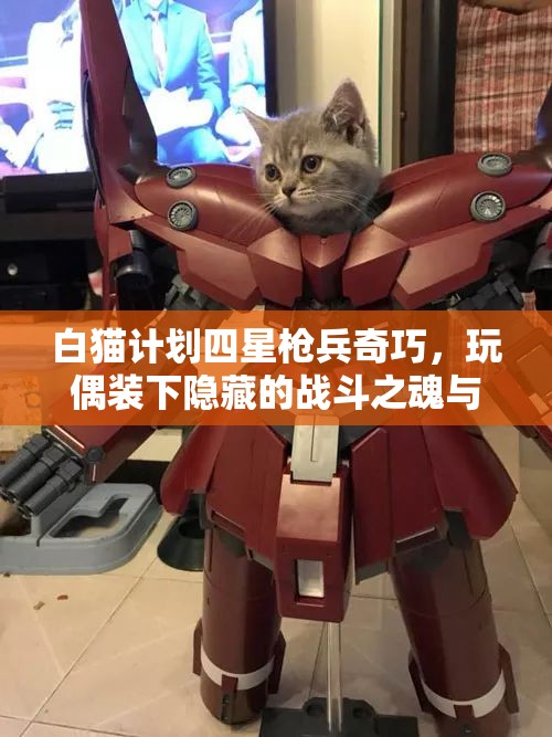白猫计划四星枪兵奇巧，玩偶装下隐藏的战斗之魂与无限可能