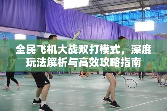 全民飞机大战双打模式，深度玩法解析与高效攻略指南