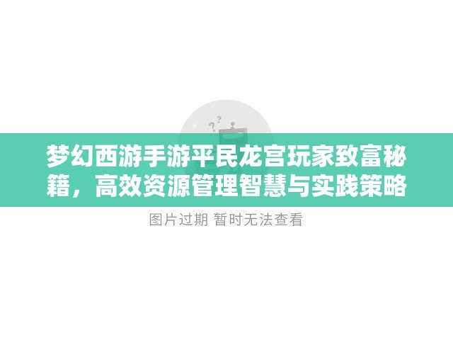 梦幻西游手游平民龙宫玩家致富秘籍，高效资源管理智慧与实践策略