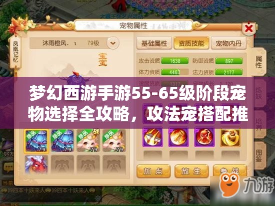 梦幻西游手游55-65级阶段宠物选择全攻略，攻法宠搭配推荐及资源管理技巧