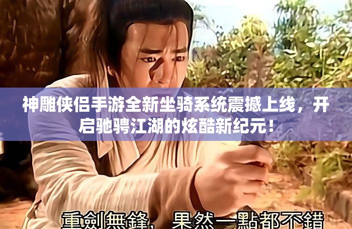 神雕侠侣手游全新坐骑系统震撼上线，开启驰骋江湖的炫酷新纪元！