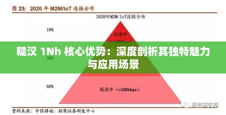 糙汉 1Nh 核心优势：深度剖析其独特魅力与应用场景