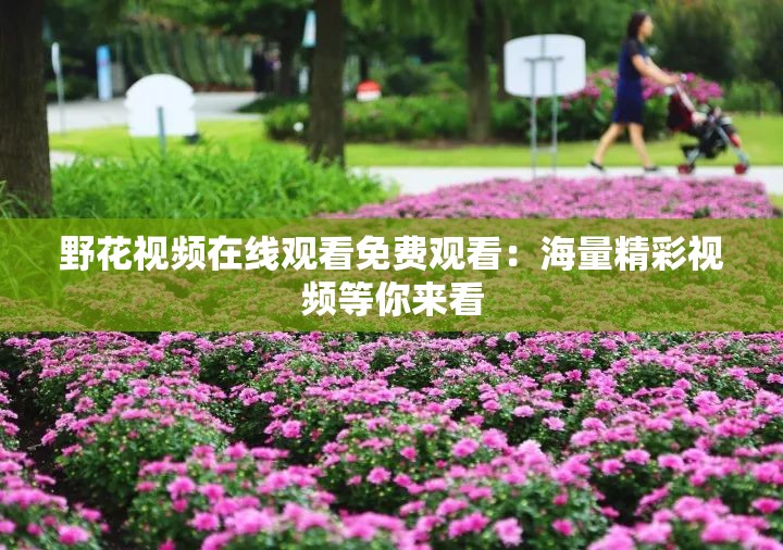 野花视频在线观看免费观看：海量精彩视频等你来看
