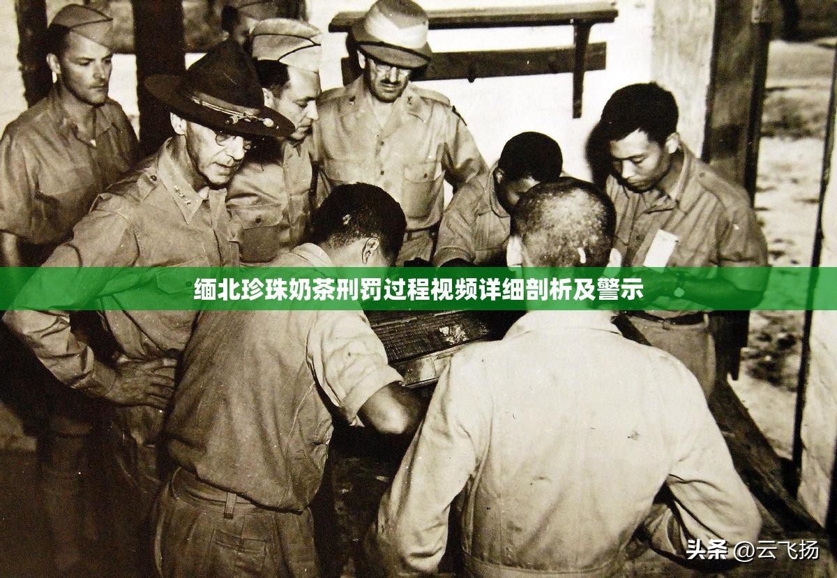 缅北珍珠奶茶刑罚过程视频详细剖析及警示