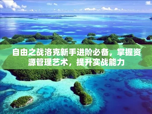 自由之战洛克新手进阶必备，掌握资源管理艺术，提升实战能力