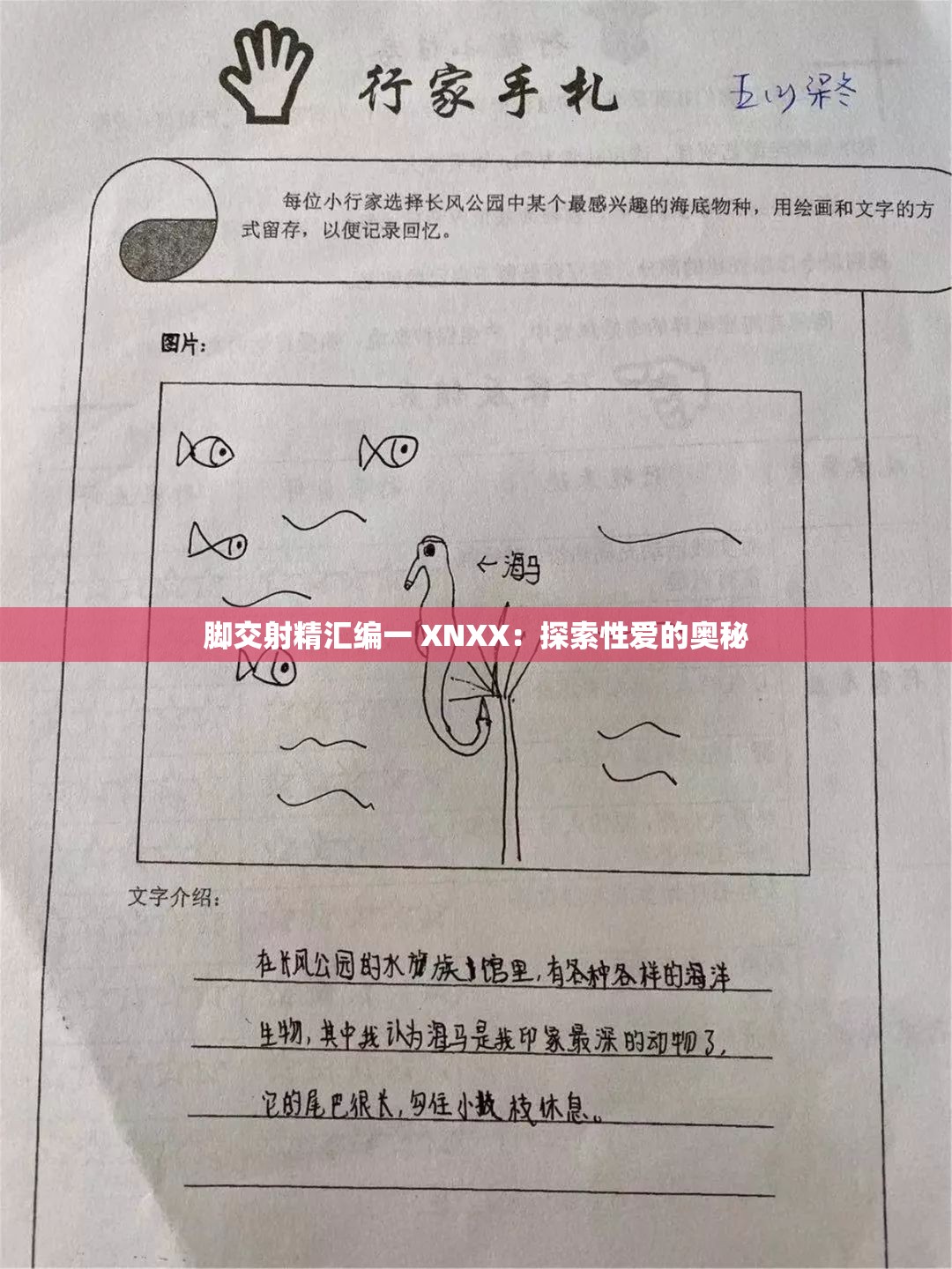 脚交射精汇编一 XNXX：探索性爱的奥秘