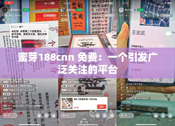 蜜芽188cnn 免费：一个引发广泛关注的平台