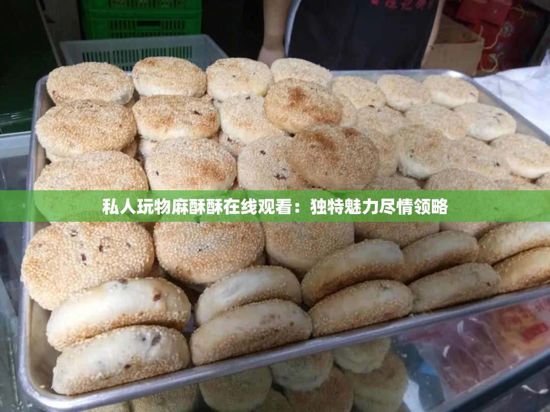 私人玩物麻酥酥在线观看：独特魅力尽情领略