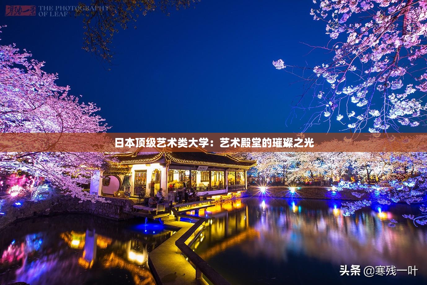 日本顶级艺术类大学：艺术殿堂的璀璨之光