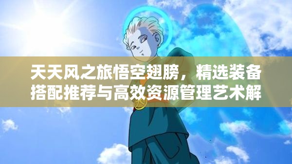 天天风之旅悟空翅膀，精选装备搭配推荐与高效资源管理艺术解析