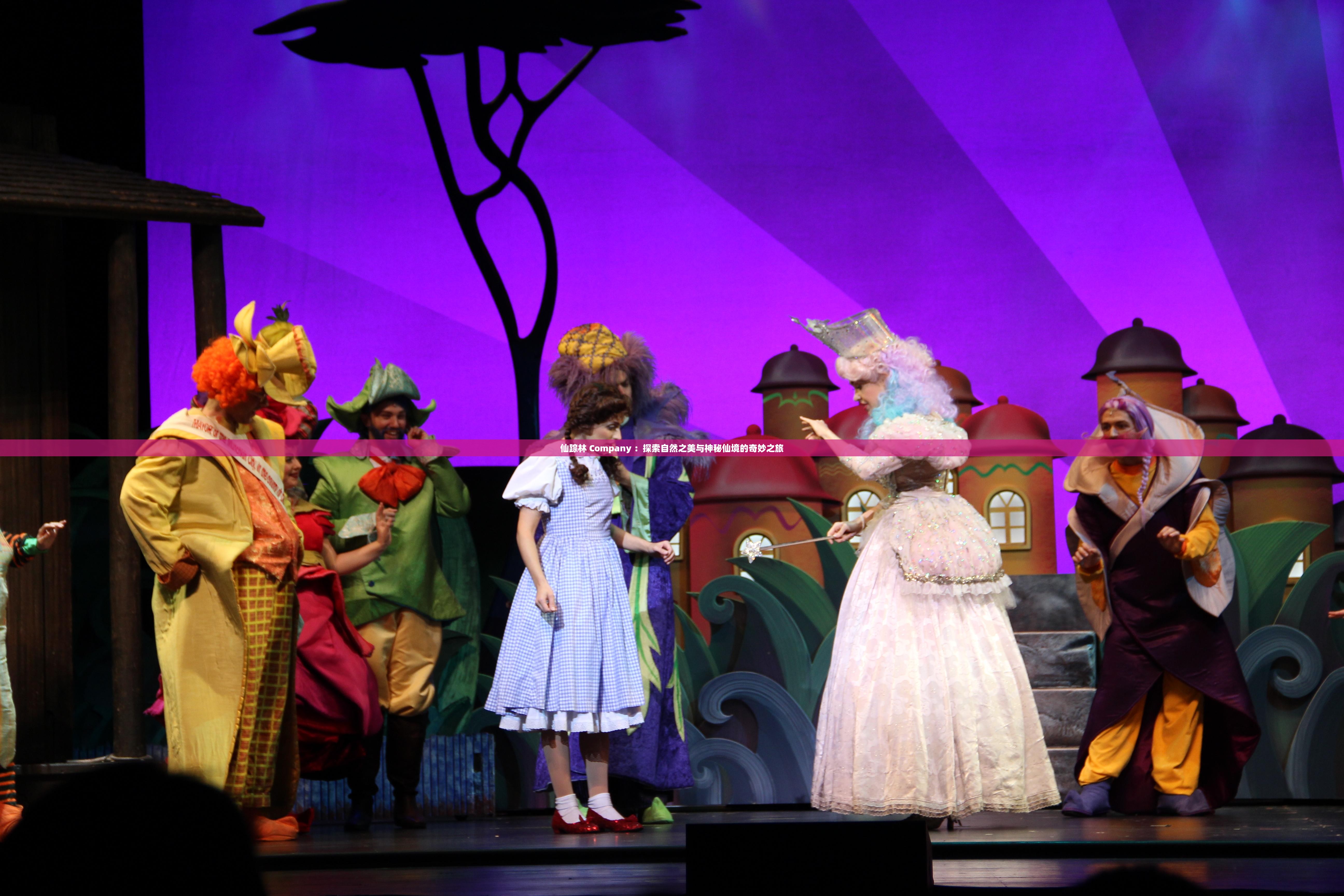仙踪林 Company ：探索自然之美与神秘仙境的奇妙之旅
