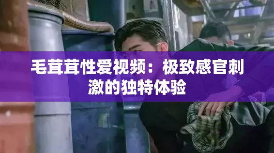 毛茸茸性爱视频：极致感官刺激的独特体验