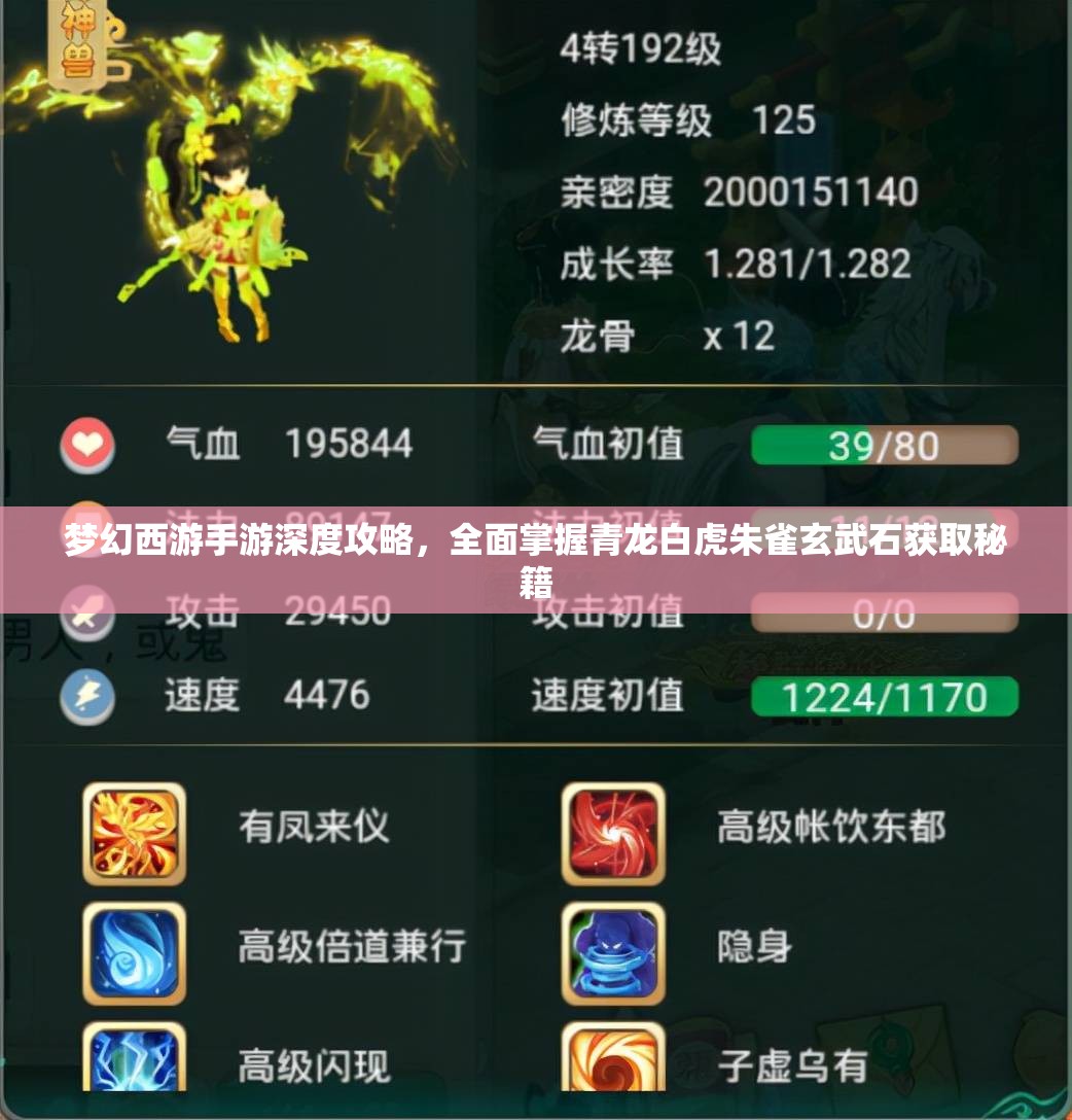 梦幻西游手游深度攻略，全面掌握青龙白虎朱雀玄武石获取秘籍