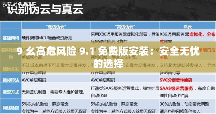 9 幺高危风险 9.1 免费版安装：安全无忧的选择