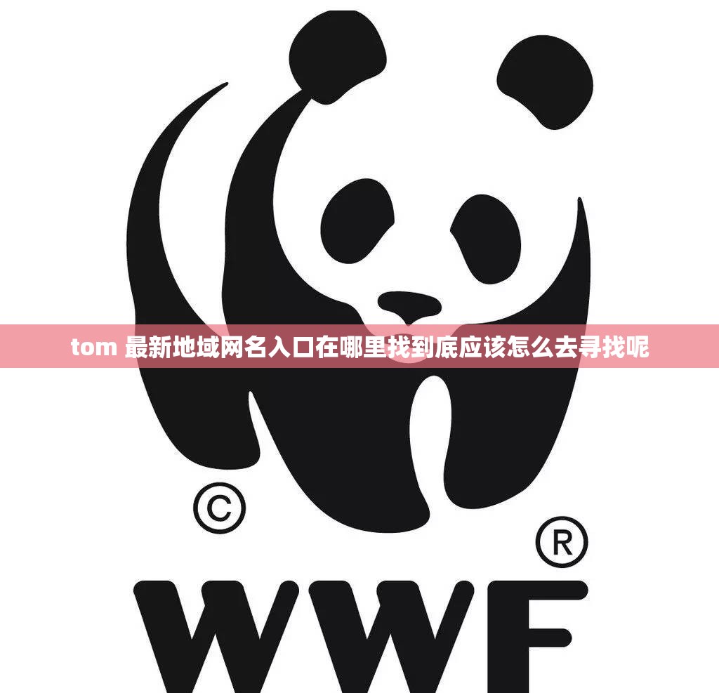 tom 最新地域网名入口在哪里找到底应该怎么去寻找呢