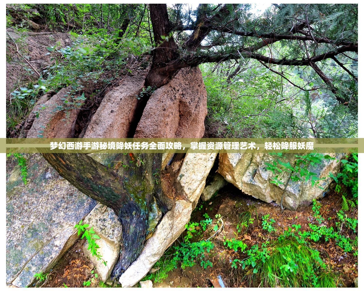 梦幻西游手游秘境降妖任务全面攻略，掌握资源管理艺术，轻松降服妖魔