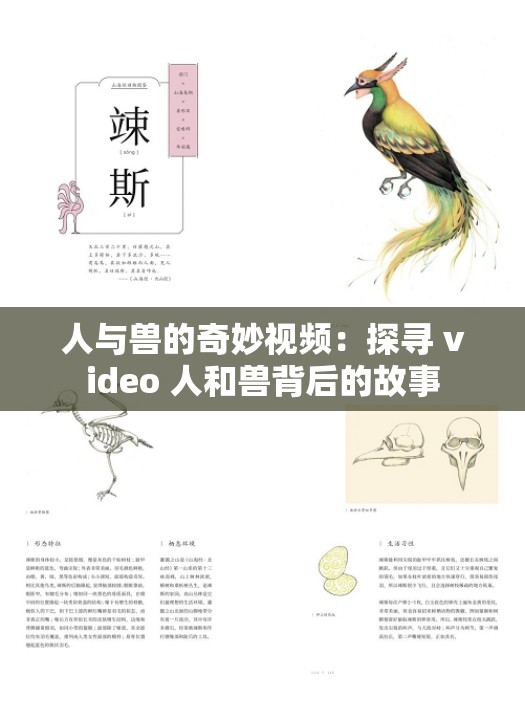 人与兽的奇妙视频：探寻 video 人和兽背后的故事
