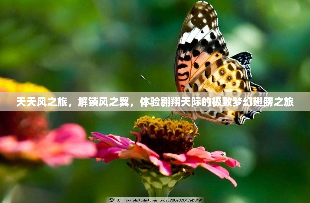 天天风之旅，解锁风之翼，体验翱翔天际的极致梦幻翅膀之旅