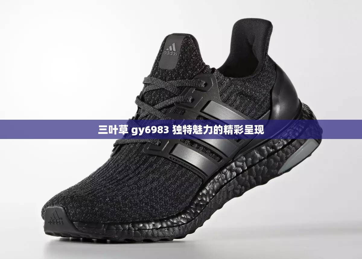 三叶草 gy6983 独特魅力的精彩呈现