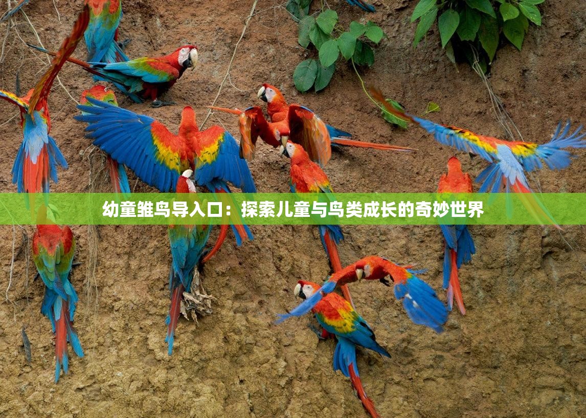 幼童雏鸟导入口：探索儿童与鸟类成长的奇妙世界