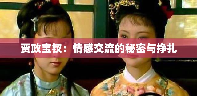 贾政宝钗：情感交流的秘密与挣扎