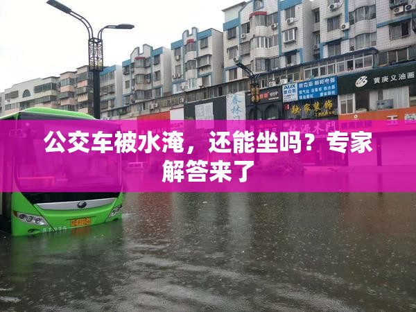 公交车被水淹，还能坐吗？专家解答来了