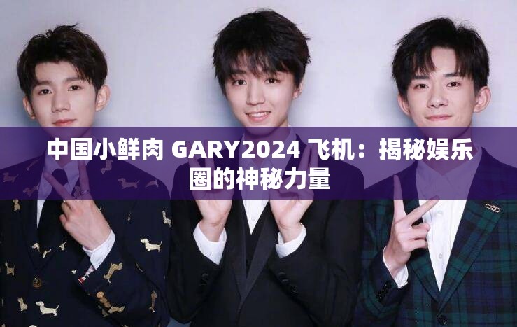 中国小鲜肉 GARY2024 飞机：揭秘娱乐圈的神秘力量