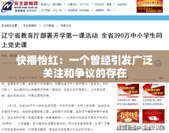 快播怡红：一个曾经引发广泛关注和争议的存在