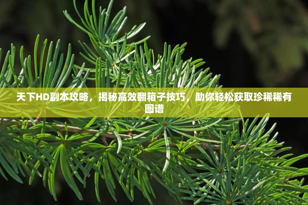 天下HD副本攻略，揭秘高效翻箱子技巧，助你轻松获取珍稀稀有图谱