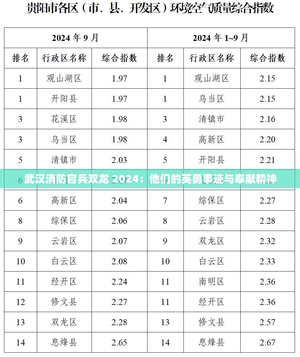 武汉消防官兵双龙 2024：他们的英勇事迹与奉献精神