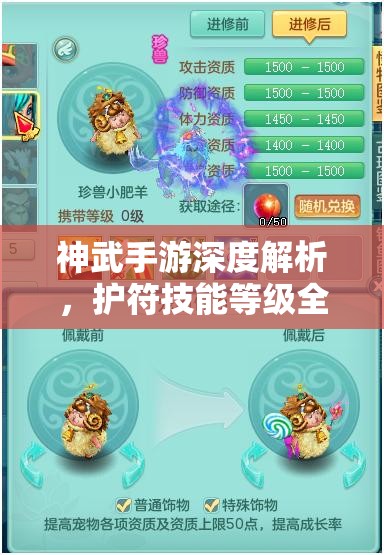 神武手游深度解析，护符技能等级全攻略与资源管理艺术探讨