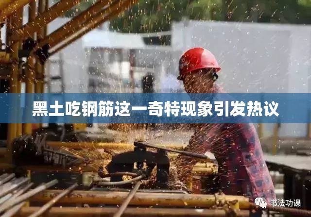 黑土吃钢筋这一奇特现象引发热议