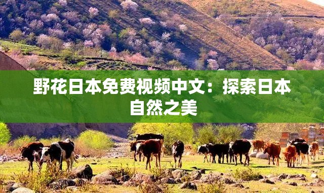野花日本免费视频中文：探索日本自然之美
