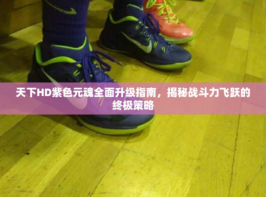 天下HD紫色元魂全面升级指南，揭秘战斗力飞跃的终极策略