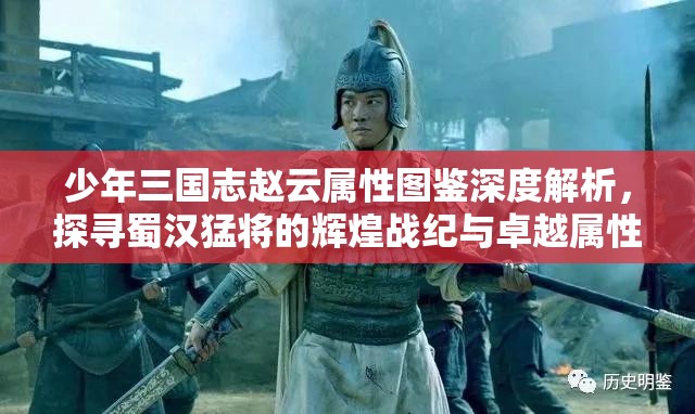 少年三国志赵云属性图鉴深度解析，探寻蜀汉猛将的辉煌战纪与卓越属性