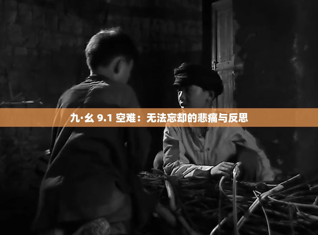 九·幺 9.1 空难：无法忘却的悲痛与反思