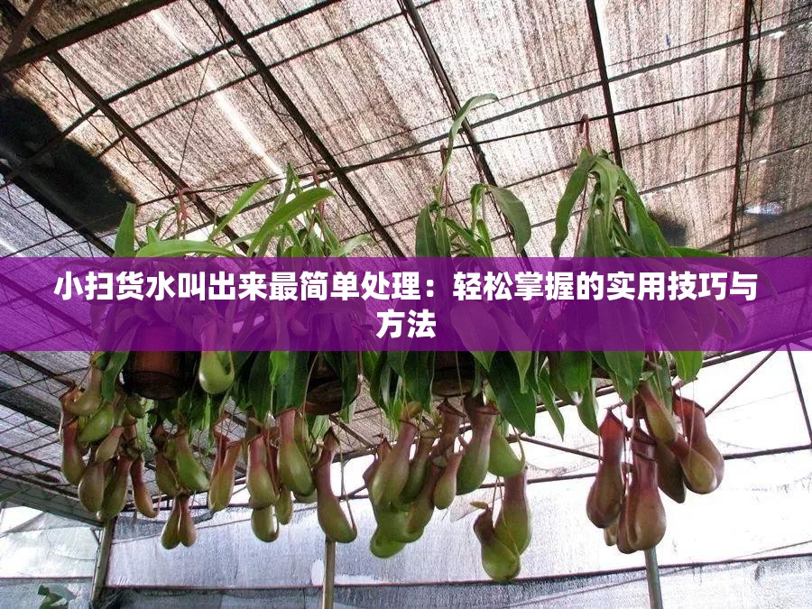 小扫货水叫出来最简单处理：轻松掌握的实用技巧与方法