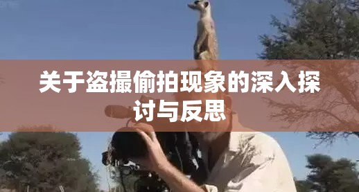 关于盗撮偷拍现象的深入探讨与反思