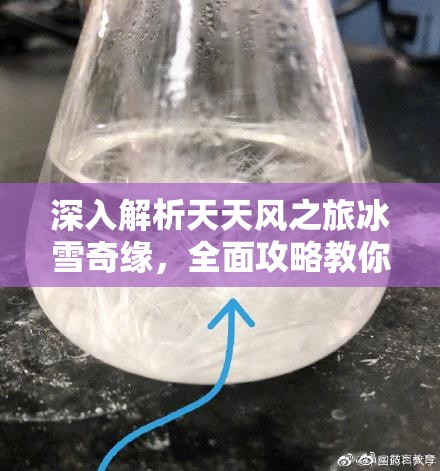 深入解析天天风之旅冰雪奇缘，全面攻略教你如何高效获取雪花结晶