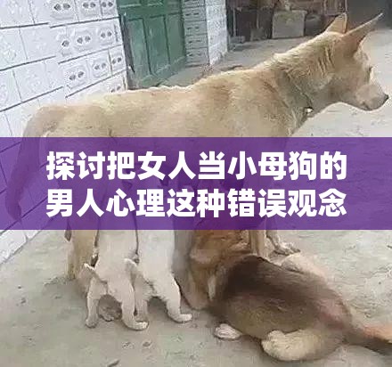 探讨把女人当小母狗的男人心理这种错误观念是多么荒谬