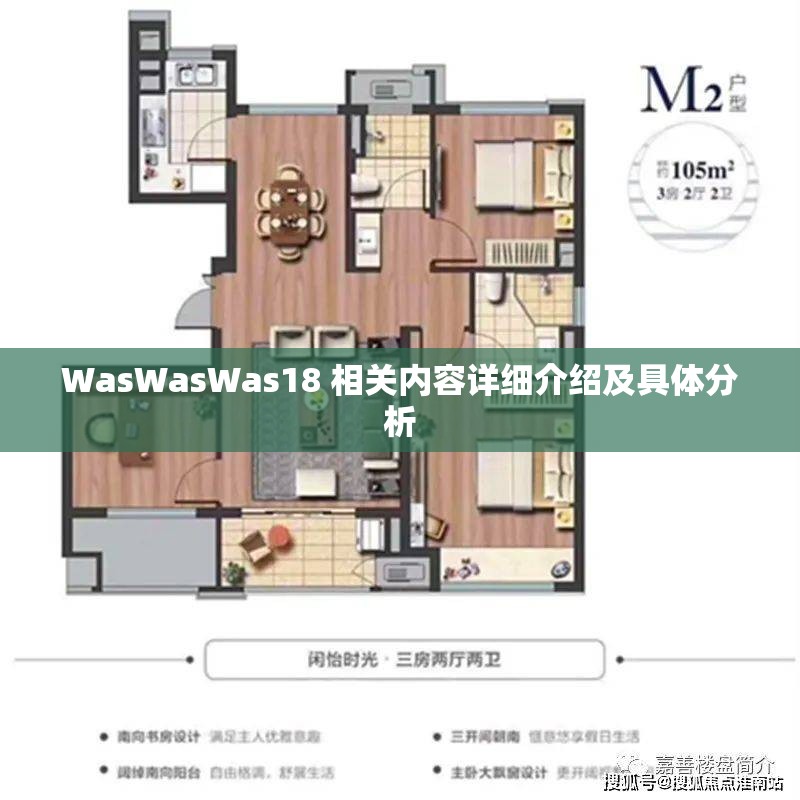 WasWasWas18 相关内容详细介绍及具体分析