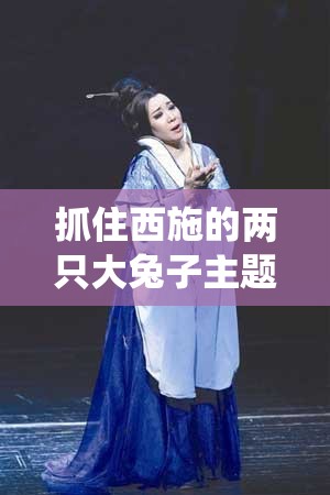 抓住西施的两只大兔子主题曲：独特旋律演绎别样风情