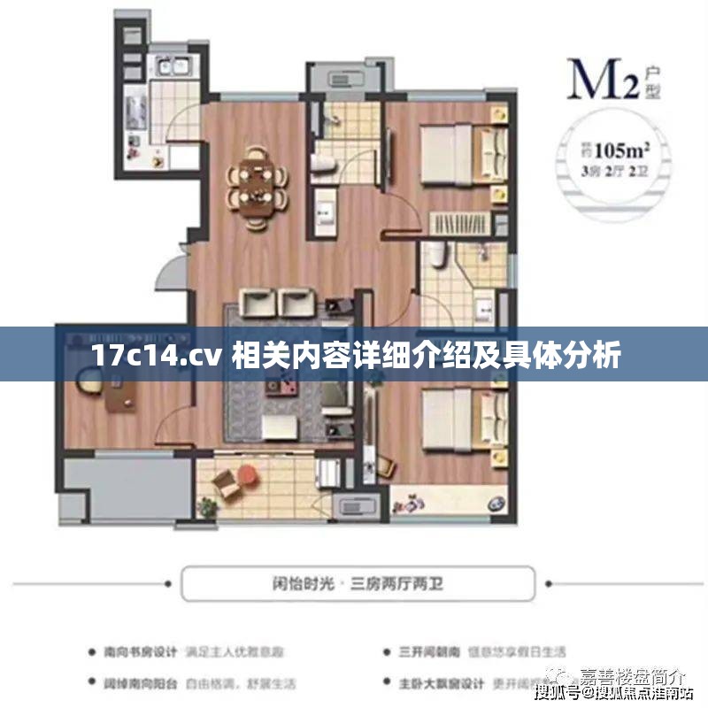 17c14.cv 相关内容详细介绍及具体分析