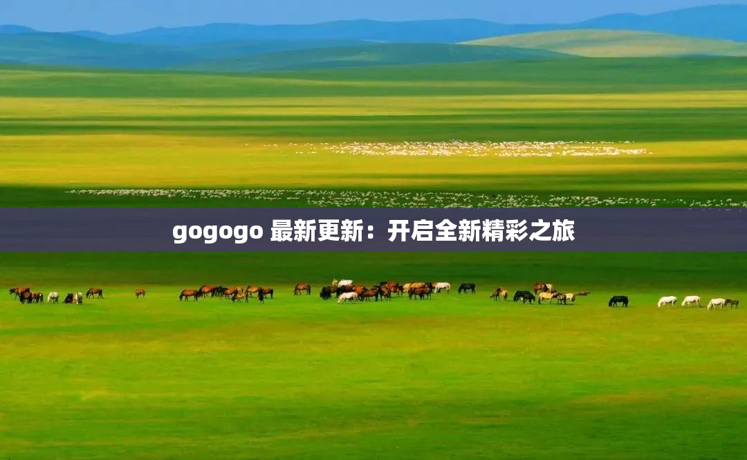gogogo 最新更新：开启全新精彩之旅