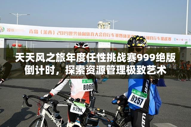 天天风之旅年度任性挑战赛999绝版倒计时，探索资源管理极致艺术