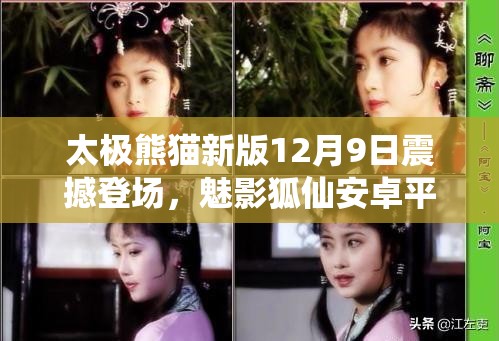 太极熊猫新版12月9日震撼登场，魅影狐仙安卓平台首秀来袭