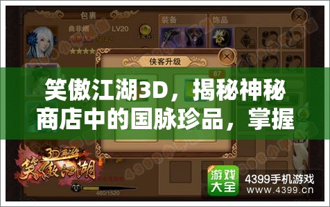 笑傲江湖3D，揭秘神秘商店中的国脉珍品，掌握资源管理的高效艺术