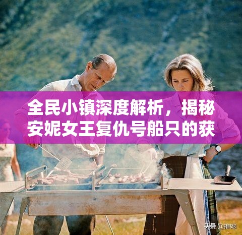 全民小镇深度解析，揭秘安妮女王复仇号船只的获取策略与途径